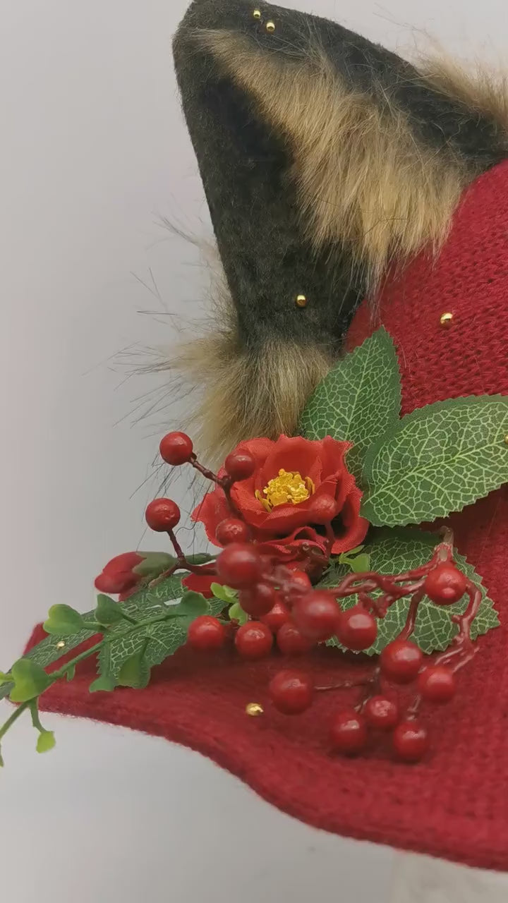 red witch Hat with Ears and Decorative Details ~ Magical Fantasy Design